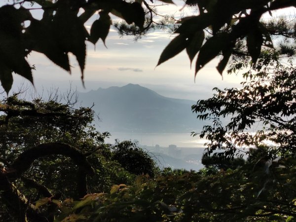 1131005向天山3098002