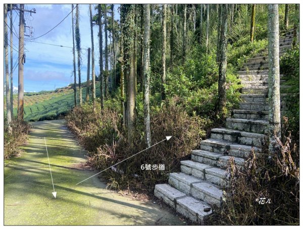 樟湖山 右上左下 (雲林、古坑)2846308