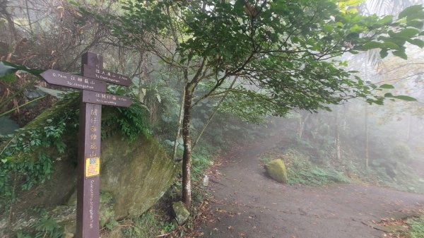 臺南白河關子嶺雞籠山步道1571881