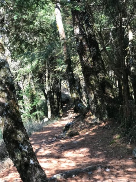 大雪山林道船型山鞍馬山537486