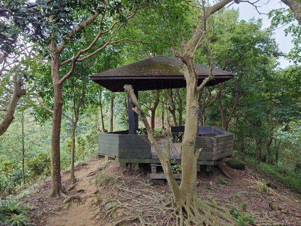 微笑山線之大棟山系2838147