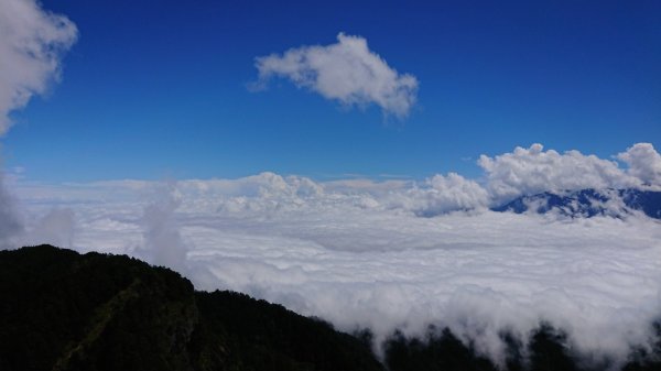 桃山 喀拉業山448851