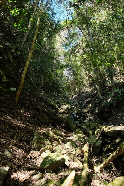 苗栗泰安 | 雪見‧初探北坑溪古道2700071