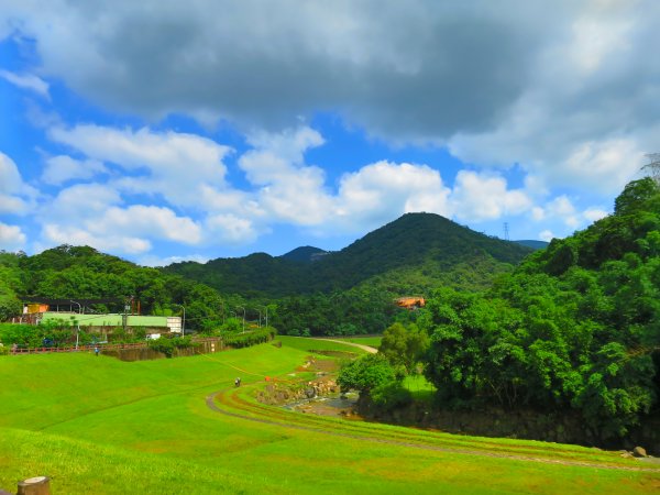 搭著捷運去旅行-白石湖賞花輕旅行610422