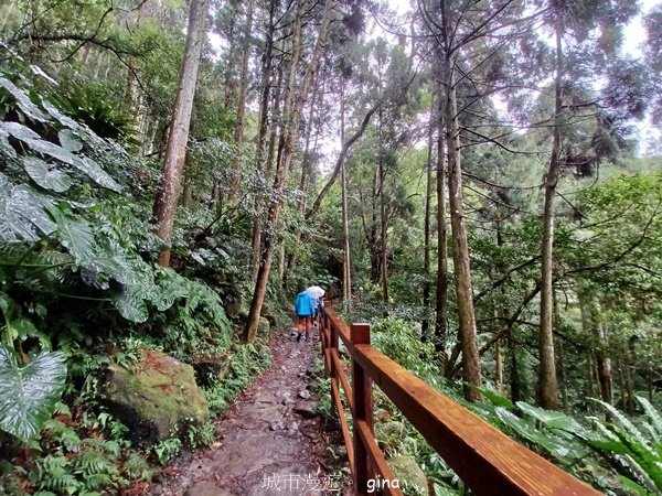 【新竹關西】清新山林芬多精。 馬武督步道群2386440