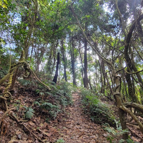 馬那邦山、細道邦山（小百岳）2435582