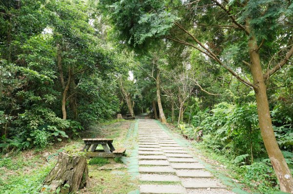 臺中 太平 三汀山、埤頭山2638048