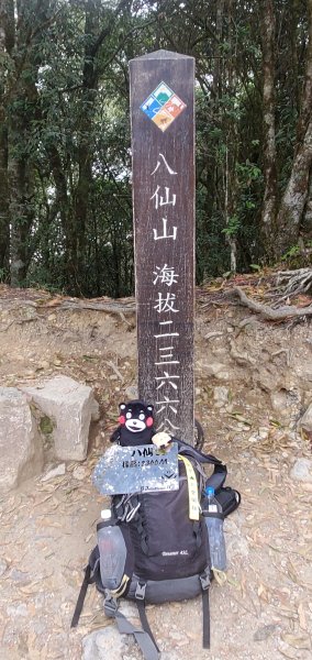 松鶴上八仙山2456129