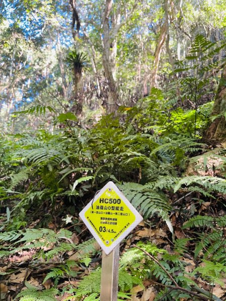 1141116油羅山2946421