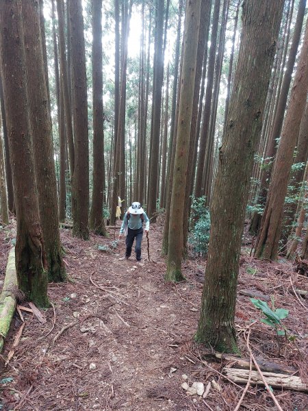 民都有山張學良故居202207091799092