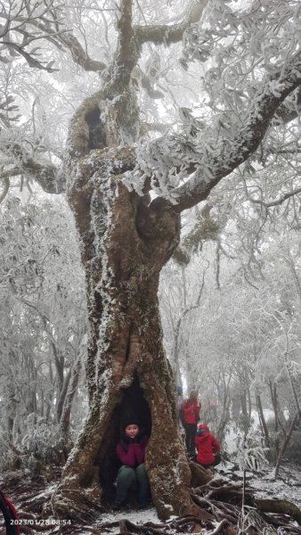 雪季北得拉曼2956487