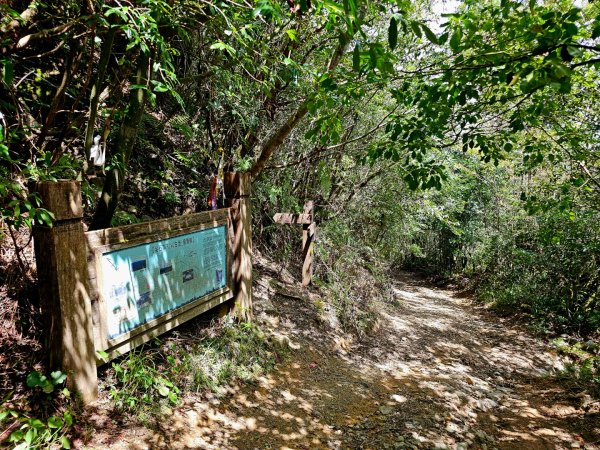 李崠山步道-2025森遊竹縣皮皮獅探險隊2892628