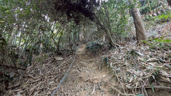 大橫屏山步道2977351