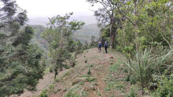 飛沙縱走33連峰2025年4月13日2760309