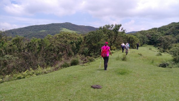 荷蘭古道-北五指山-擎天崗-內寮古道558283