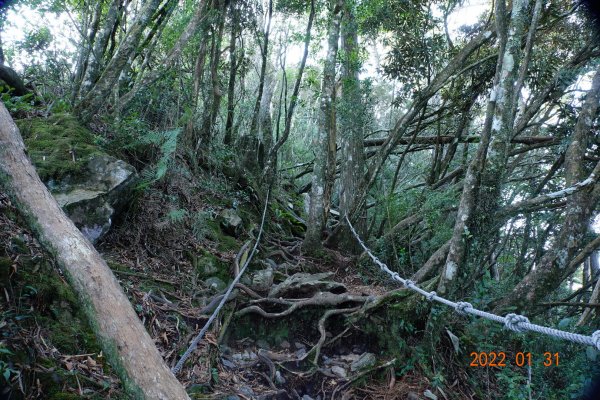 臺中 和平 稍來山1597372