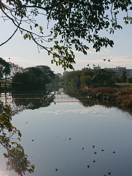 竹北澎湖窟步道2393256