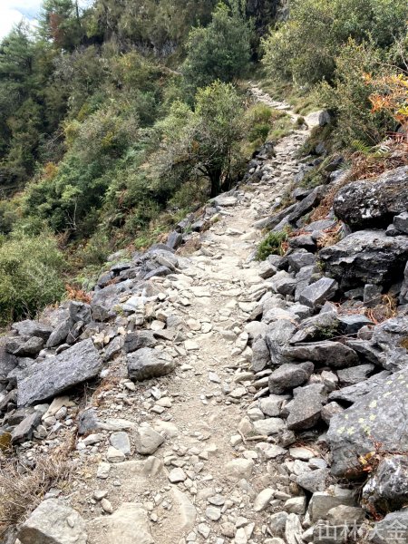2023-11-27 玉山主峰2365068