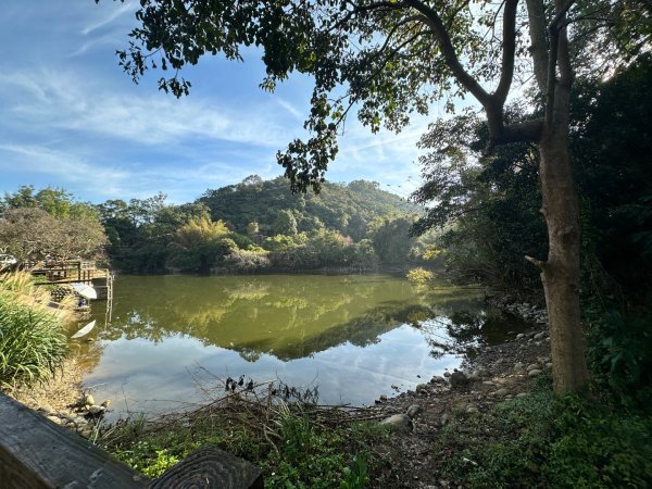 新竹新埔-蓮華山古道2628608
