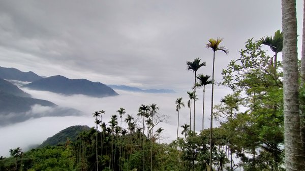 阿拔泉山稜線步道雲海1561759