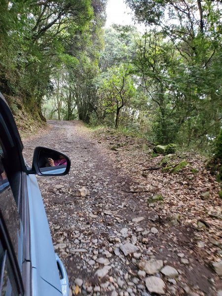 郡大碰碰車952485