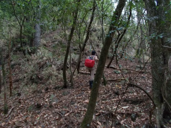 東閂岡山﹑梅松山﹑真巴烈山﹑麻加拉路山﹑摩里克安山1357346