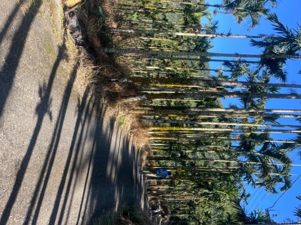 雲嘉五連峰2735907