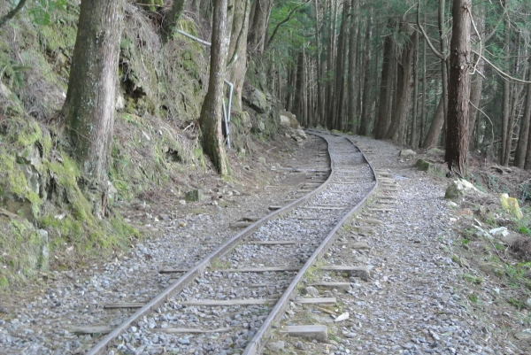 特富野古道+梯子板山25527