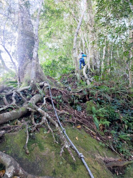 嘎色鬧登那結山2392522