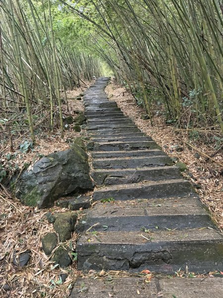 20260406[公車]雲嘉連峰-二尖山+馬鞍山+梨子腳山+太平山+太平山西峰3031075