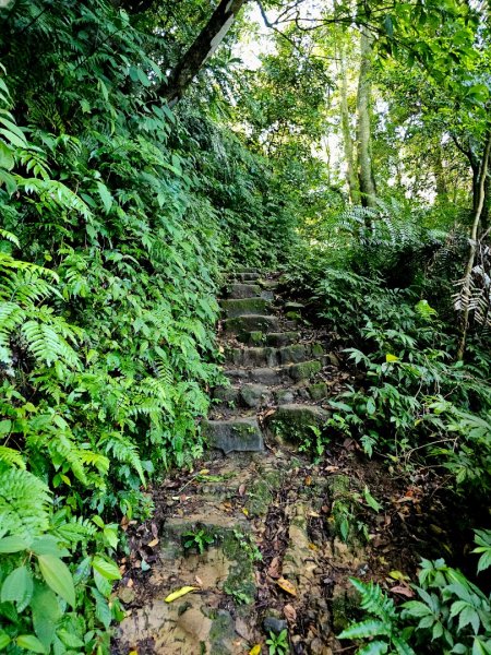 (二格山系)筆架連峰-2025微笑山線大縱走尋寶集章任務2866357