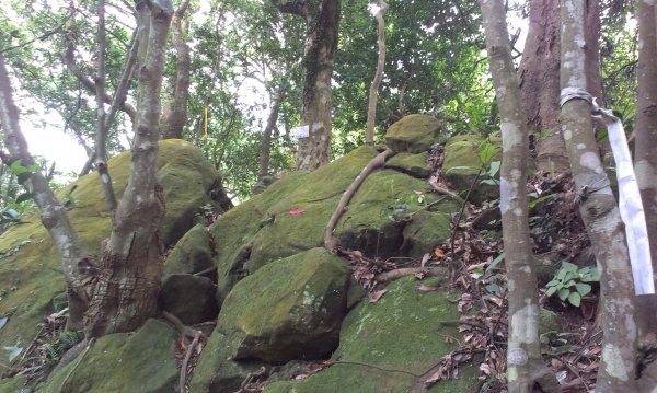 蓬萊仙島_石牛山_油井窩山O型201404301959954