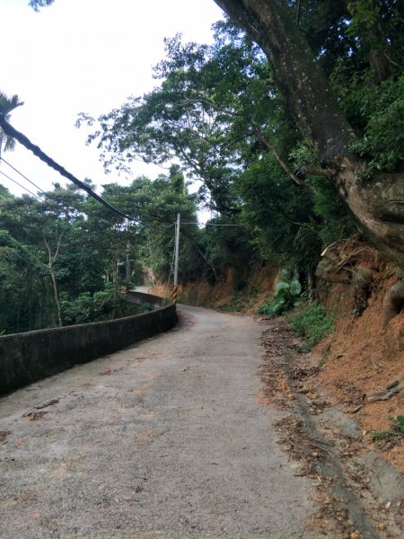 逐鹿古道&雨社山1465927