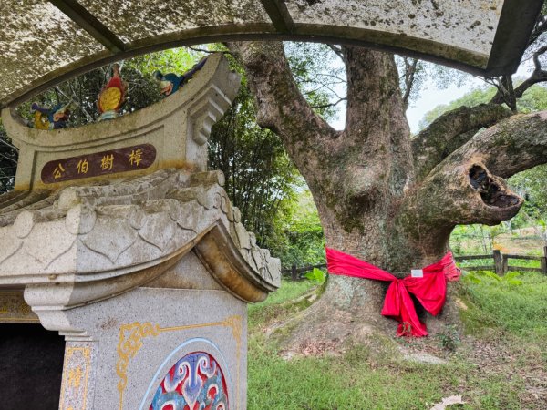 福人登山步道走大北坑小楊梅 O繞3130008