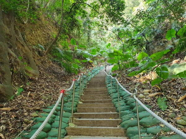 松柏嶺登廟步道1188986