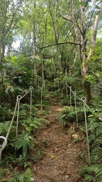 平溪區碩仁里-幼坑古道-幼坑山-幼坑山南鞍-大平林山-番子坑生態園區-番子坑3086159