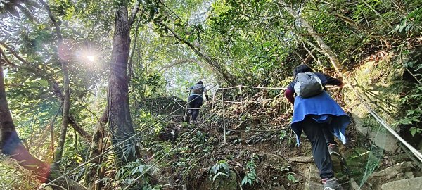 2026/02/21-馬胎古道（含二期）3005123