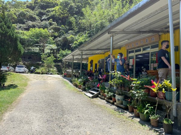 新北｜瑞芳．雙溪 淡蘭古道中路．暖東舊道（TK2-1~2-5 暖東峽谷步道、暖東舊道、五分山步道）2004163