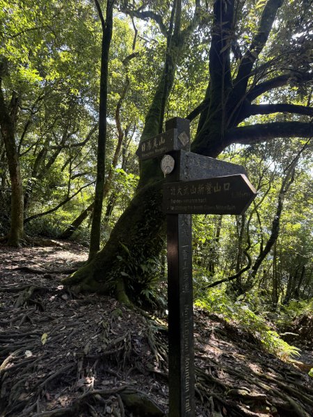 91北大武山（至檜谷山莊）115.10.043128645