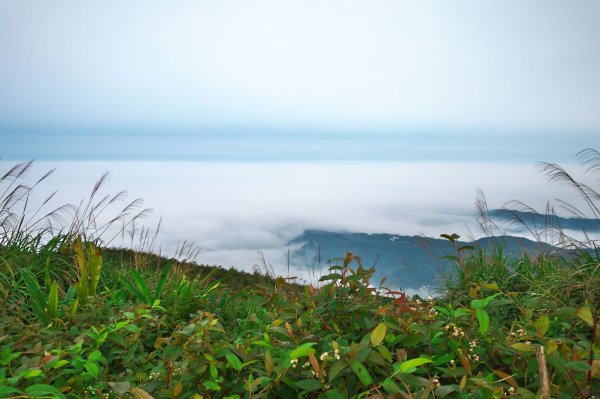 親子健行-雲嘉七連峰O型902454