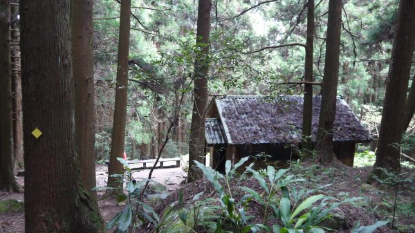 加里山登山健行趣(小百岳42)1527432