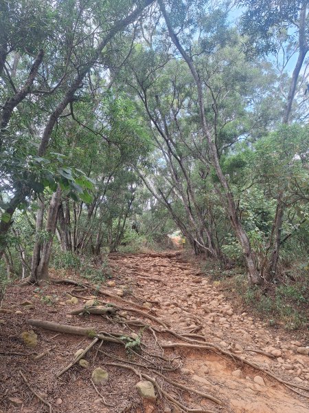 火炎山+南鞍古道O走202610143135332