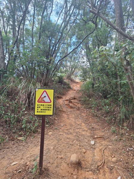 火炎山+南鞍古道O走202610143135333