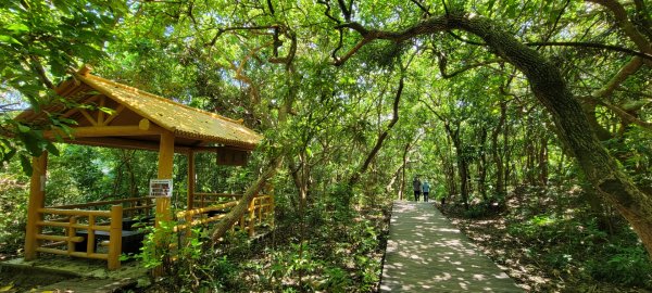 柴山登山步道1454354