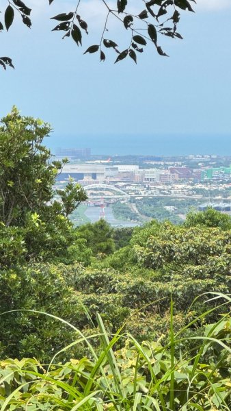 桃園五酒桶步道走南崁山-五酒桶山-山鼻山-獅仔頭山2848123