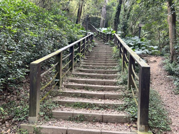 羊稠森林步道3020900