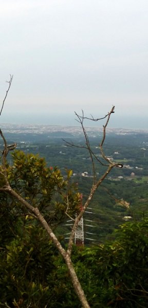 苗栗三義三通嶺-慈濟茶園大O型（三義車站-竹圍山-長潭坑山-三通嶺(大坑尾山)-三義山-慈濟山)1705100