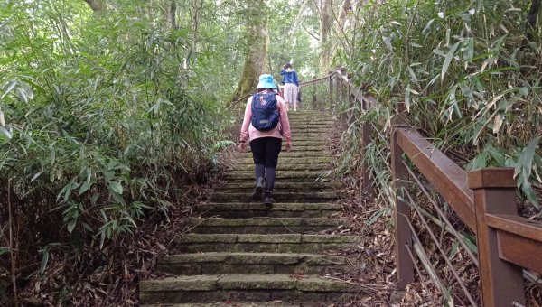 (姨婆趴趴走)第三十集:嘉義梅山太平雲梯、太平老街、太興岩茶園步道、龍王金殿2335394