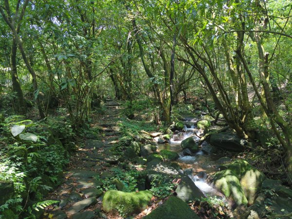 2025.04.27－金包里大路~小油坑縱走2770911