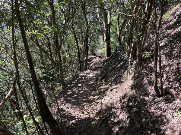 [微笑山線_第九段] 2025_0914 二格山系_天王峰2889608